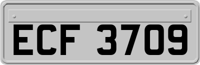 ECF3709