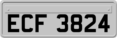 ECF3824