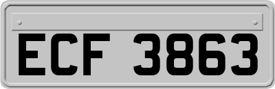 ECF3863