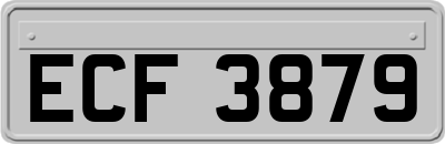 ECF3879