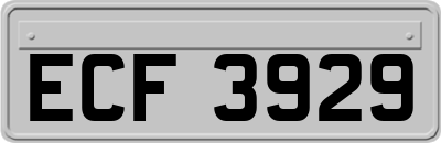 ECF3929