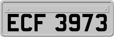 ECF3973