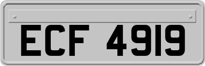 ECF4919