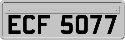 ECF5077