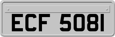 ECF5081