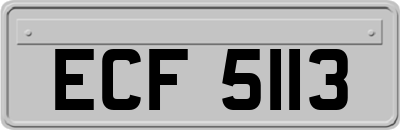 ECF5113