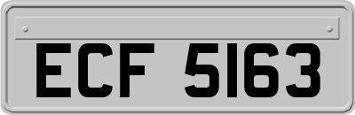 ECF5163
