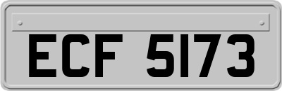 ECF5173