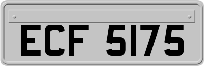 ECF5175