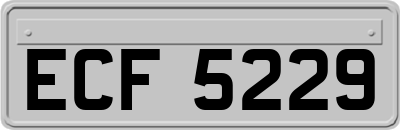 ECF5229