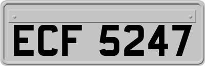 ECF5247