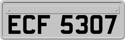 ECF5307