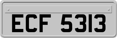 ECF5313