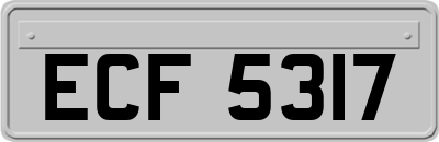 ECF5317