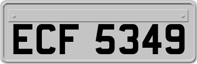 ECF5349