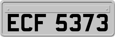 ECF5373