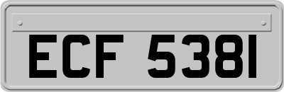 ECF5381