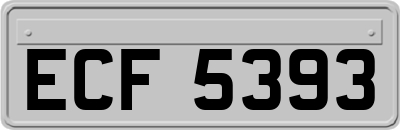 ECF5393