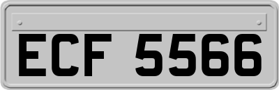 ECF5566