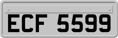 ECF5599