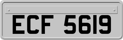 ECF5619