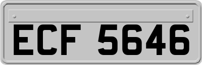 ECF5646