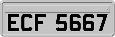 ECF5667
