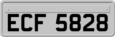ECF5828