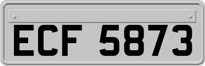 ECF5873