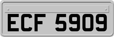 ECF5909