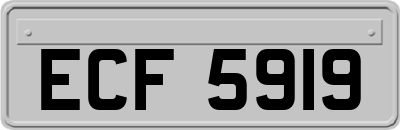 ECF5919