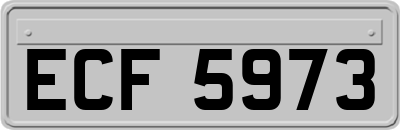 ECF5973