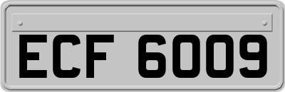 ECF6009