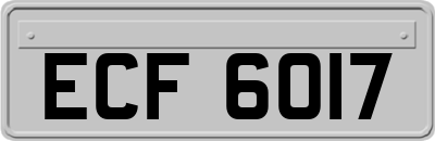 ECF6017