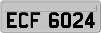 ECF6024