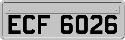 ECF6026