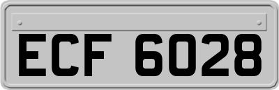 ECF6028