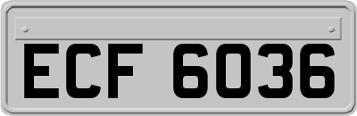 ECF6036