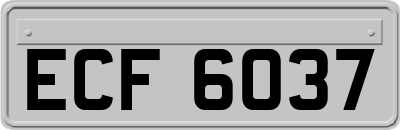 ECF6037