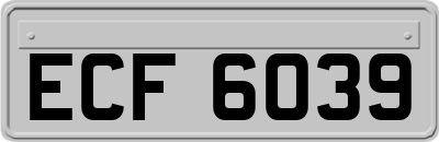 ECF6039