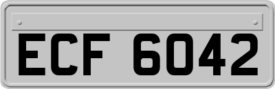 ECF6042