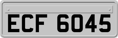 ECF6045