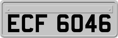 ECF6046
