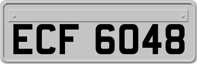 ECF6048