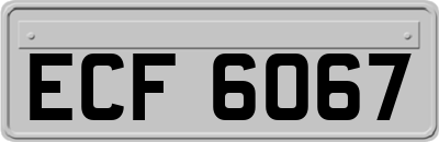 ECF6067