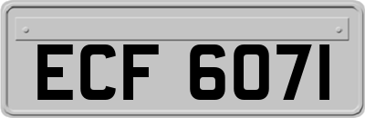 ECF6071
