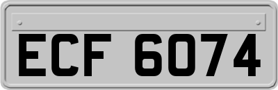 ECF6074