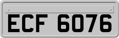 ECF6076
