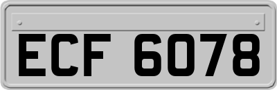 ECF6078