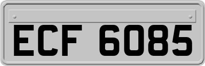 ECF6085